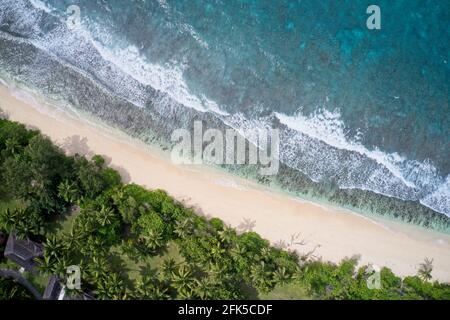 Drohne Sichtfeld von Wellen, die in Strand und Wald krachen, Praslin, Seychellen. Stockfoto