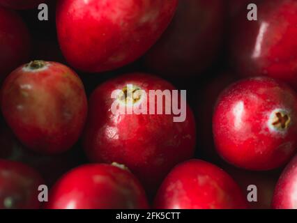 Nahaufnahme der roten Cranberries Stockfoto