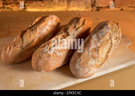 Große rustikale Laibe aus frisch gebackenem Sauerteig-Brot auf Holz Schneidebrett Stockfoto