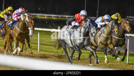 Nächtliches Pferderennen bei Wolves Races, Wolverhampton Stockfoto