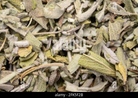 Lose Blätter von trockenem Salbei Kräutertee, Draufsicht auf Hintergrund und Textur Stockfoto