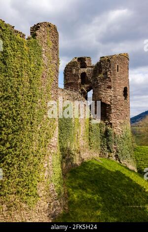 Mauern und Überreste einer mittelalterlichen Burg aus dem 12. Jahrhundert Wales (Grosmont Castle, Monmouthshire) Stockfoto