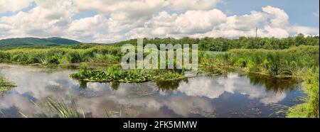 Arkutino Sumpf-Teil des Naturschutzgebietes Ropotamo in Bulgarien, Europa. Der Arkutino ist eine Sumpflagune in der Nähe des Flusses Ropotamo in der Nähe von Primorsko, Bulgarien Stockfoto