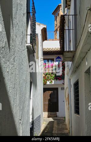 Vertikale Ansicht einer typischen schmalen Straße im Albayzin Nachbarschaft von Granada Stockfoto