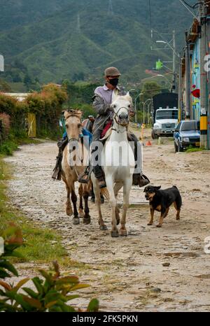 Guatapé, Antioquia, Kolumbien - April 4 2021: Schwarzer kleiner Hund bänkt einen lateinischen Mann an, der ein Pferd reitet und ein anderes Pferd zur Miete mitbringt Stockfoto