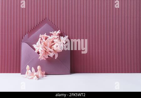 Pinker Umschlag mit Hyazinthen-Blüten auf rosa gestreiftem Hintergrund. Minimales Federkonzept. Grußkarte. Speicherplatz kopieren. Stockfoto