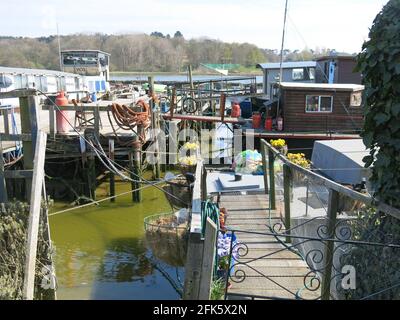 Anlegestellen und Anlegestellen für Hausboote am Ufer des Flusses Deben, während Sie den Fußweg zwischen Melton und Woodbridge entlang gehen. Stockfoto