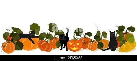 Horizontales Banner mit schwarzen Katzen und Kürbissen und einer Jack-o' - Laterne für Halloween. Isoliert auf Weiß. Platzieren Sie Ihr Textplakat Stock Vektor