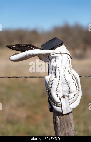 Ein alter Cowboystiefel hängt an einem Zaun in Texas Hill Country Stockfoto