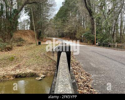 Augusta, GA USA - 04 12 21: Schmale asphaltierte Straße durch die Natur mit Herbstlaub und Blättern Stockfoto