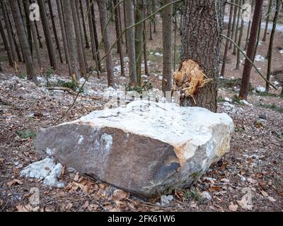 Eingestürzte Felsbrocken fallen von Sandsteinfelsen und Erdrutsch blockiert Waldweg. Gefahrenstelle Cesky raj Park, nördlich von Tschechien. Stockfoto