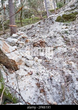 Eingestürzte Felsbrocken fallen von Sandsteinfelsen und Erdrutsch blockiert Waldweg. Gefahrenstelle Cesky raj Park, nördlich von Tschechien. Stockfoto