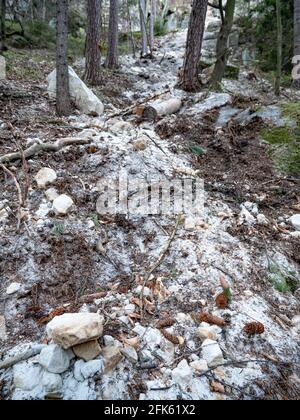 Eingestürzte Felsbrocken fallen von Sandsteinfelsen und Erdrutsch blockiert Waldweg. Gefahrenstelle Cesky raj Park, nördlich von Tschechien. Stockfoto