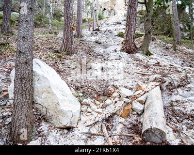 Eingestürzte Felsbrocken fallen von Sandsteinfelsen und Erdrutsch blockiert Waldweg. Gefahrenstelle Cesky raj Park, nördlich von Tschechien. Stockfoto