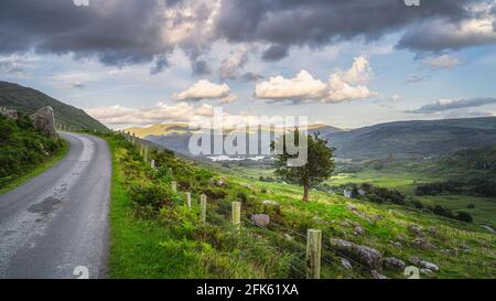 Landschaft mit einem einzigen Baum auf dem Hügel und kurvenreiche Straße. MacGillycuddys Reeks Berge von Sonnenlicht beleuchtet, Black Valley, Ring of Kerry, Irland Stockfoto