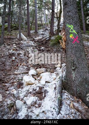 Eingestürzte Felsbrocken fallen von Sandsteinfelsen und Erdrutsch blockiert Waldweg. Gefahrenstelle Cesky raj Park, nördlich von Tschechien. Stockfoto