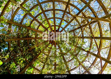 Überwuchertes Dach im Hampstead Heath Pergola and Hill Gardens, North London, Großbritannien Stockfoto