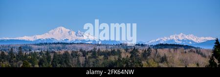 Blick über einen bewaldeten Grat von White Rock, BC, zum majestätischen, schneebedeckten Mount Baker und den Three Fingers im Bundesstaat Washington. Stockfoto