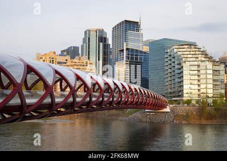 Peace Bridge über den Bow River und die Skyline von Calgary Stockfoto