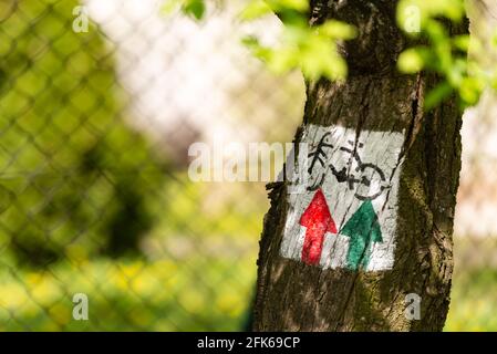 Schild für den Radweg. Ein weißes Schild auf einem Baum, das die Fahrtrichtung für Radfahrer anzeigt. Stockfoto