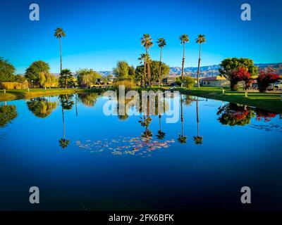 Desert Oasis Campingplatz See Teich mit Palmen und Schatten Berge, die sich im Wasser spiegeln, werden nicht reflektiert Stockfoto