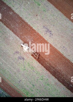Traktor pflügt in der Luftaufnahme mit landwirtschaftlichen Erntearten, Victoria, Australien. Stockfoto