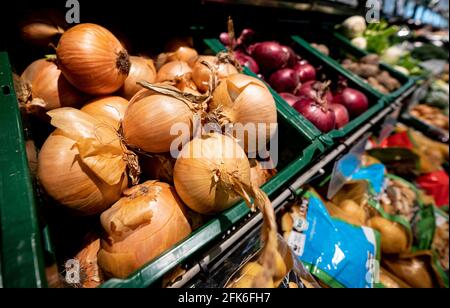 Berlin, Deutschland. April 2021. Zwiebeln liegen an der Gemüsetheke in einem Supermarkt. Statistisches Bundesamt gibt Inflationsrate für April 2021 bekannt. Quelle: Fabian Sommer/dpa/Alamy Live News Stockfoto