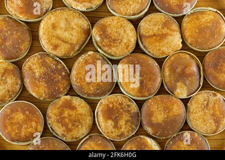 Draufsicht auf Jaggery-Zucker aus asiatischer Palmyra-Palme saft gefüllt in Scheiben von kleinen getrockneten Palmblättern Stockfoto