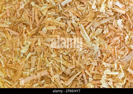 Nahaufnahme Textur von aromatischen Flocken aus Zirbelkiefer, österreichischen Zirbenholzhackschnitzel (Pinus cembra) Stockfoto