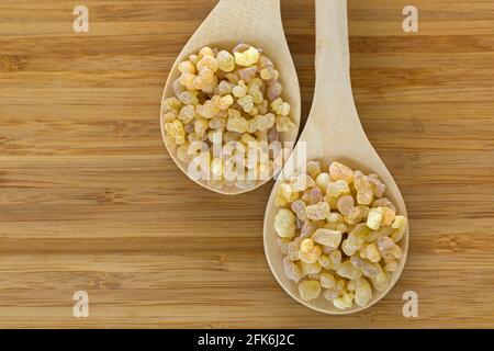 Holzlöffel aus aromatischem gelbem Harzgummi aus sudanesischem Weihrauchbaum, Weihrauch, der durch Aufschlagen der Rinde des Boswellia sacra-Baumes in Etiopia auf Holz hergestellt wird Stockfoto