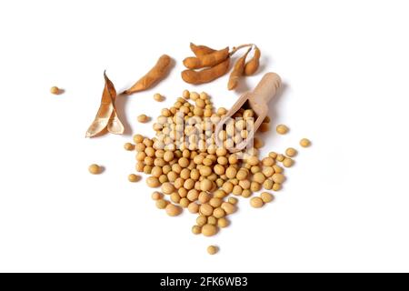 Glycin max Trockene Schoten, Sojabohnen, Holzlöffel. Stockfoto