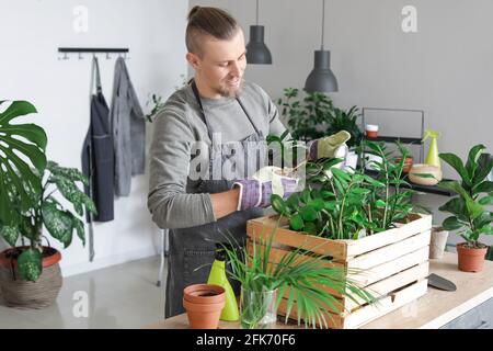 Junger Mann, der sich zu Hause um die Pflanzen kümmert Stockfoto