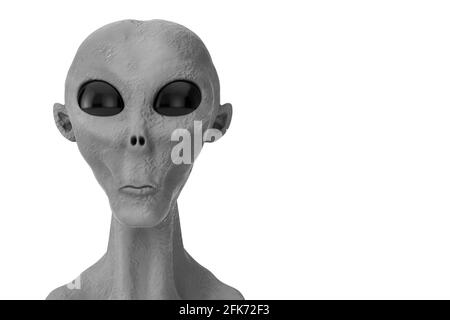 Porträt eines Grauen Außerirdischen auf weißem Hintergrund. 3d-Rendering Stockfoto
