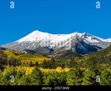 Schneebedeckte Berge über Herbstlaub Stockfoto