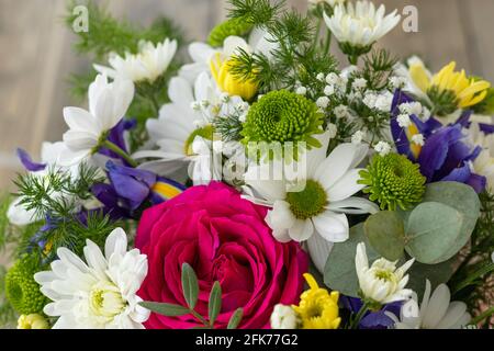 Nahaufnahme Bouquet mit roten Rosen, lila Iris und weißen, gelben, grünen Chrysanthemen. Floralen Hintergrund. Weichfokus Stockfoto