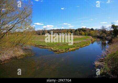 Ein Blick auf den Fluss Wensum mit Deich, der von Low Common stromaufwärts der Straßenbrücke bei Ringland, Norfolk, England, Vereinigtes Königreich, auftaucht. Stockfoto