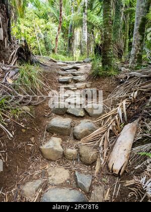 Unbefestigte Straße mit Felsen in einem tropischen Wald zum Wandern Stockfoto