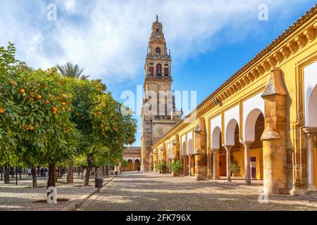 Cordoba, Spanien. Blick auf Torre Campanario - historischer Glockenturm und Innenhof mit Orangenbäumen bepflanzt Stockfoto