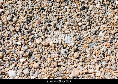 Textur von kleinen Kieselsteinen in verschiedenen Farben und Formen. Stockfoto