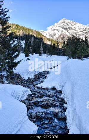 Winter, Frühling, Schnee, Tiefschnee, verneit, Bach, Wasser, fließen, Gebirgsbach, Rinnsal, Alpenhauptkamm, zugeschneit, Schneehöhe, Felbertauern, Stockfoto