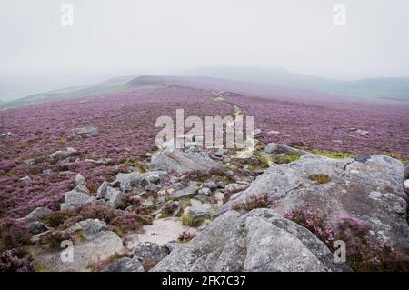 Blick entlang des Pfades auf Hathersage Stände Moorland, im Peak District National Park, Großbritannien Stockfoto