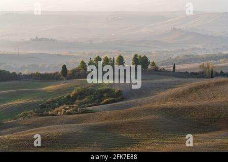 Ein atemberaubender Blick auf die Landschaft an einem Herbstmorgen auf die Hügel der Toskana mit gepflügtem und grünem Gras bedeckt mit schönen hügeligen Feldern. Der Stockfoto