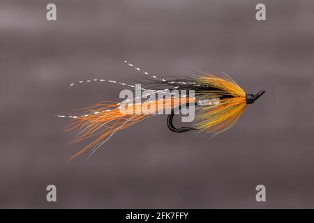 Atlantischer Lachsangeln fliegen die Cascade-Doppelschimps-Fliege eines Verbündeten Stockfoto
