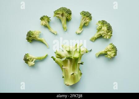 Richtiges Ernährungskonzept. Kreativer Brokkoli auf blauem Hintergrund. Stockfoto