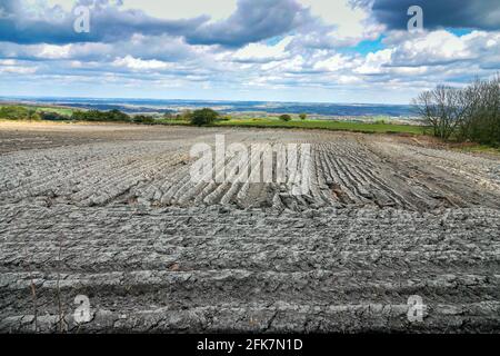 Gepflügte Feld mit Furchen in hellem Lehmboden, Matlock, Derbyshire Stockfoto
