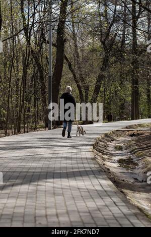 Frau mittleren Erwachsenen, die mit einem Beagle im öffentlichen Park läuft. Stockfoto
