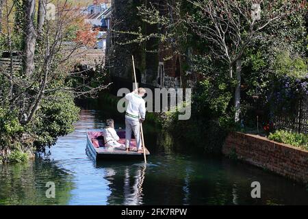 Canterbury, Kent, Großbritannien. 29. April 2021. Die Stadt Canterbury in Kent gewinnt langsam wieder etwas an Normalität, da viele Menschen auf der Hauptstraße herumlaufen und das angenehme Wetter genießen. Ein Punt auf dem Fluss stour, der durch das Herz von Canterbury fließt. Foto-Kredit: Paul Lawrenson /Alamy Live Nachrichten Stockfoto