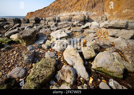 Compton, Bay, Iguanodon, Fußabdruck, Abgüsse, Wealden Beds, Geologie, Paläontologie, Sedimentgestein, Erosion, Isle of Wight, England, Großbritannien, Stockfoto