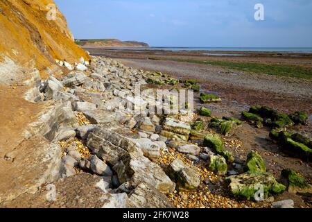 Compton, Bay, Iguanodon, Fußabdruck, Abgüsse, Wealden Beds, Geologie, Paläontologie, Sedimentgestein, Erosion, Isle of Wight, England, Großbritannien, Stockfoto