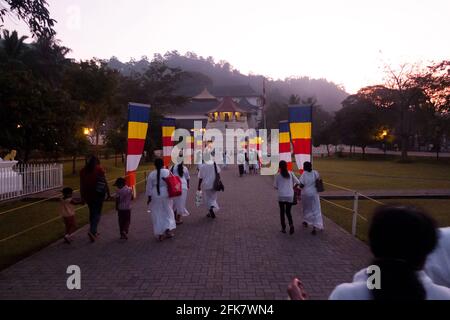 Kandy, Sri Lanka: Eine Menge weiß gekleideter Gläubiger geht im Morgengrauen in den Tempel der heiligen Zahnreliquie (Sri Dalada Maligawa) Stockfoto